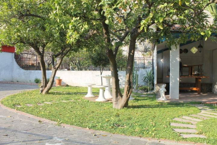 斯卡莱阿The Lemon Tree House公寓 外观 照片